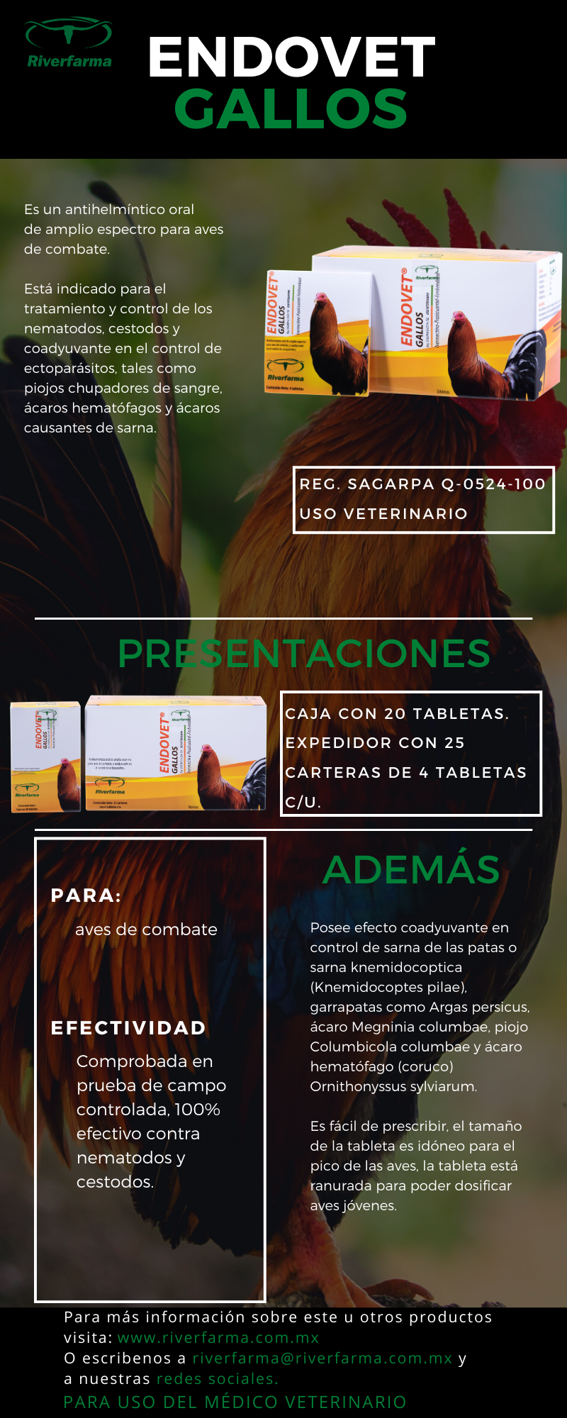 Endovet Gallos